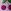 Black Cherry Merlot