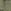 Green Dinosaur