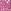 Berry Pink Mouse Floral