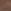 Brown Bear