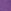 Purple Bird