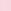 Pink Tulip Lights Graphic