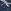 Navy Blue Dragonfly