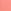 Coral Ribbon Orange