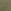 Desert Cactus Green