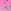 Pink Butterfly