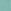 Duck Egg Blue Safari Animals Applique Pet in Pocke