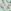 Mint Green Floral Logo