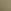 Desert Cactus Green