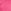 Pink Rose