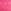 Pink Rose