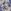 Toile de Jouy Blue