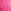 Pink Rose