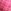 Pink/Red Tartan