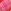 Pink/Red Tartan
