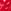 Bright Vermillion Red Bow Print
