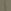 Khaki Green Dinosaur
