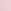Pink Tulip
