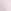 Pink Tulip
