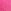 Pink Rose