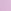 Violet Sugar Purple