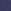 Navy Blue Tulip