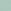 Silent Green Lace Trim