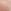 Macaron Nude