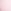 Pink Tulip