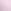 Pink Tulip