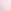 Pink Tulip