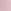 Pink Tulip