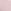 Pink Tulip