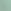 SEASALT GREEN