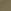 Desert Cactus Green