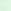 Pretty Mint Green