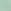 SEASALT GREEN