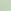 Pretty Mint Green