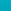 Turquoise Shark
