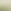 Fall Sage Green