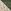 Sage Green/Cream