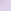 Lilac Purple Crush