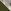 Hare Of The Dog Green/Grey