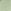 Dusky Green
