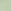 Dusky Green