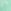 Sea Green Hibiscus