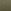 Forest Green Boucle