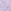 Lavender Purple Leopard
