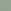 Khaki Green