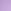 Jasmine Purple